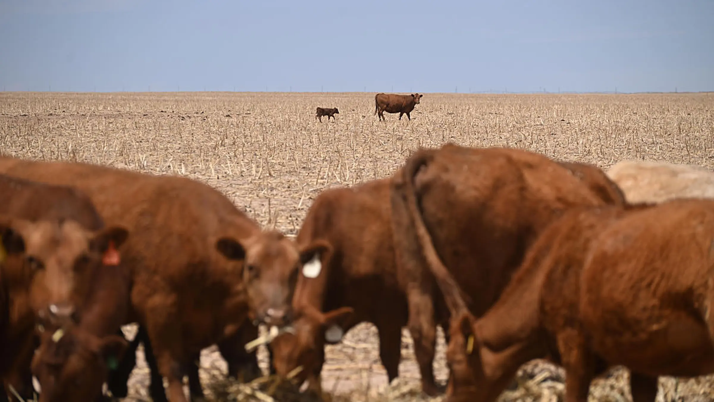 The Worst Spring Drought on Record Is Putting U.S. Crops at Risk