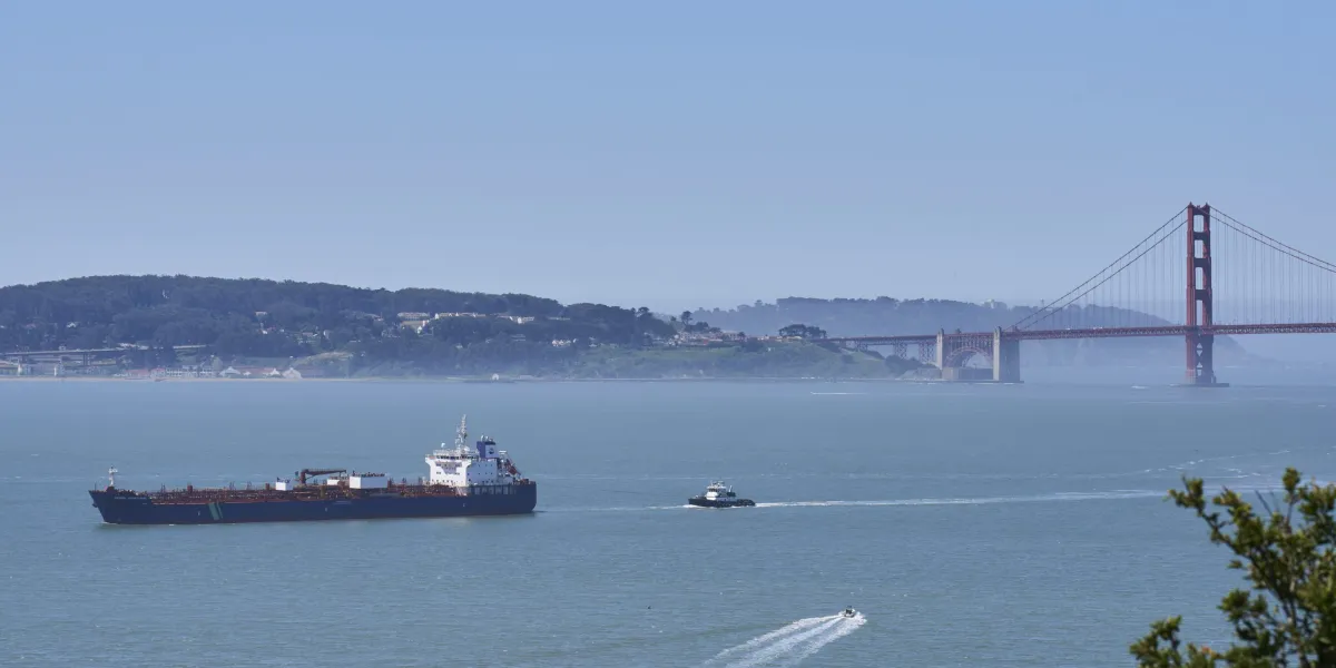 San Francisco thinks AI can save the whales. Here’s how