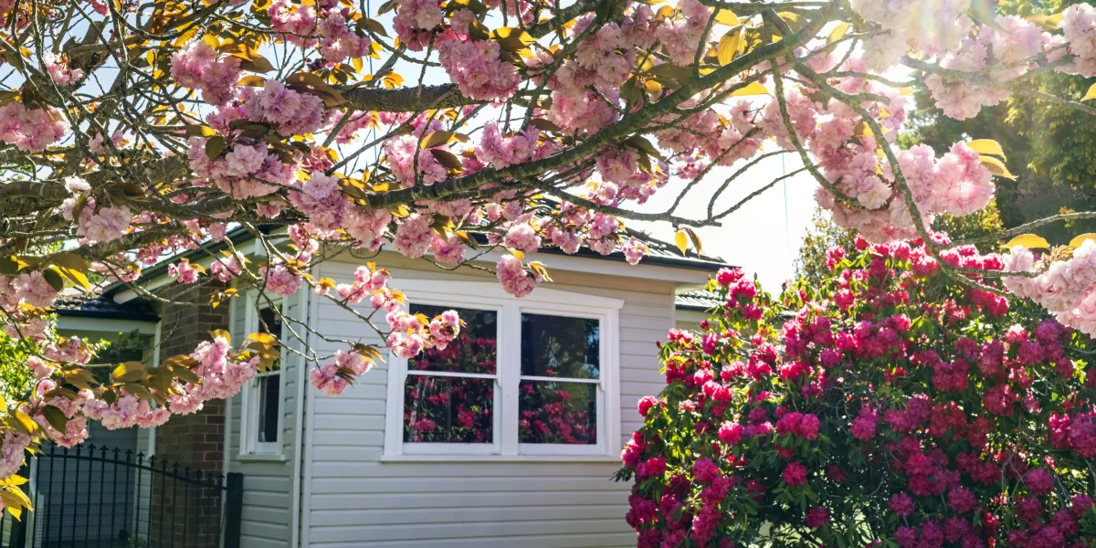 The Midwest is leading America’s spring housing rebound because of ‘buyers who are actually showing up,’ Realtor.com says