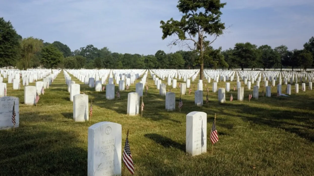 Dems blast their own party for using ‘heroic dead for a political attack on Memorial Day’