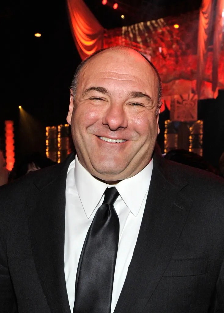 Actor James Gandolfini in a black suit and tie smiles at the Keep Memory Alive foundation's 