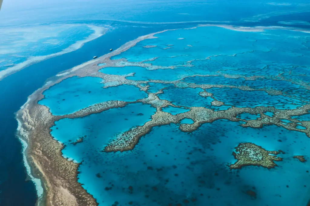 A 39-year-old man has died after being attacked by a shark at the Great Barrier Reef on May 24, 2026.