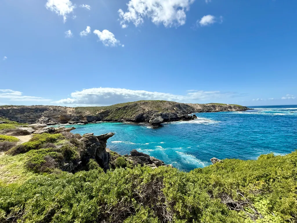 The 38-year-old victim, yet to be identified, was bitten on Saturday morning at Horseshoe Reef near Rottnest Island, about 19.2 miles west of state capital Perth.