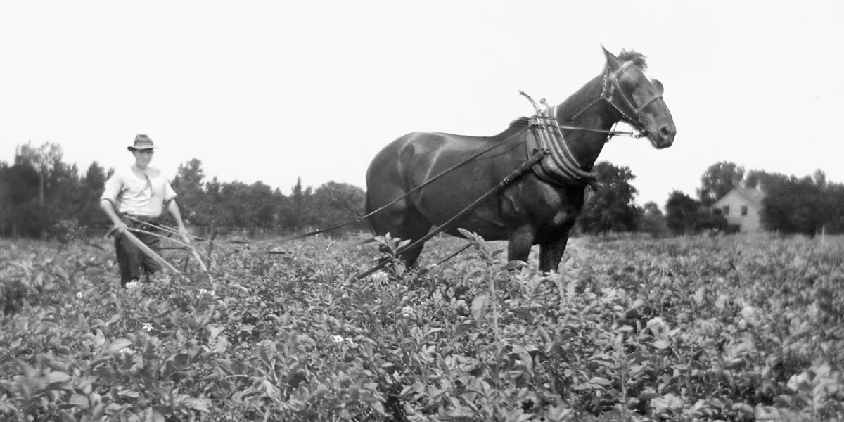 BofA throws cold water on AI apocalypse panic: 60% of today’s jobs didn’t exist in 1940
