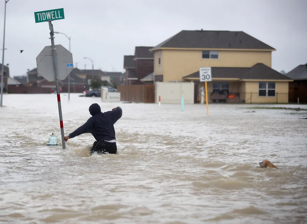 A person in a black hoodie and a dog swimming through floodwaters past a street sign for Tidwell.