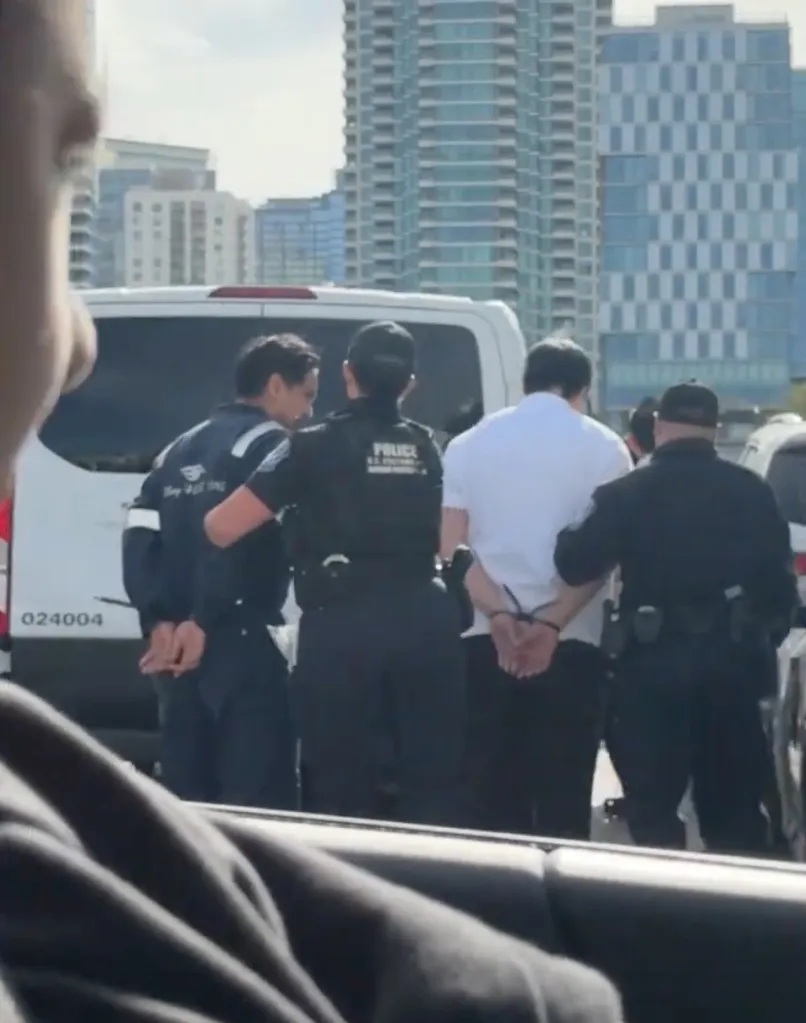 Customs and Border Protection agents arresting several Disney Cruise Line crew members.
