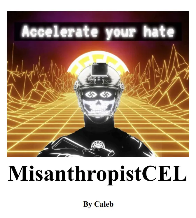 Illustration of a skull-faced figure wearing a helmet with swastikas, against a retro digital landscape with the text "Accelerate your hate".