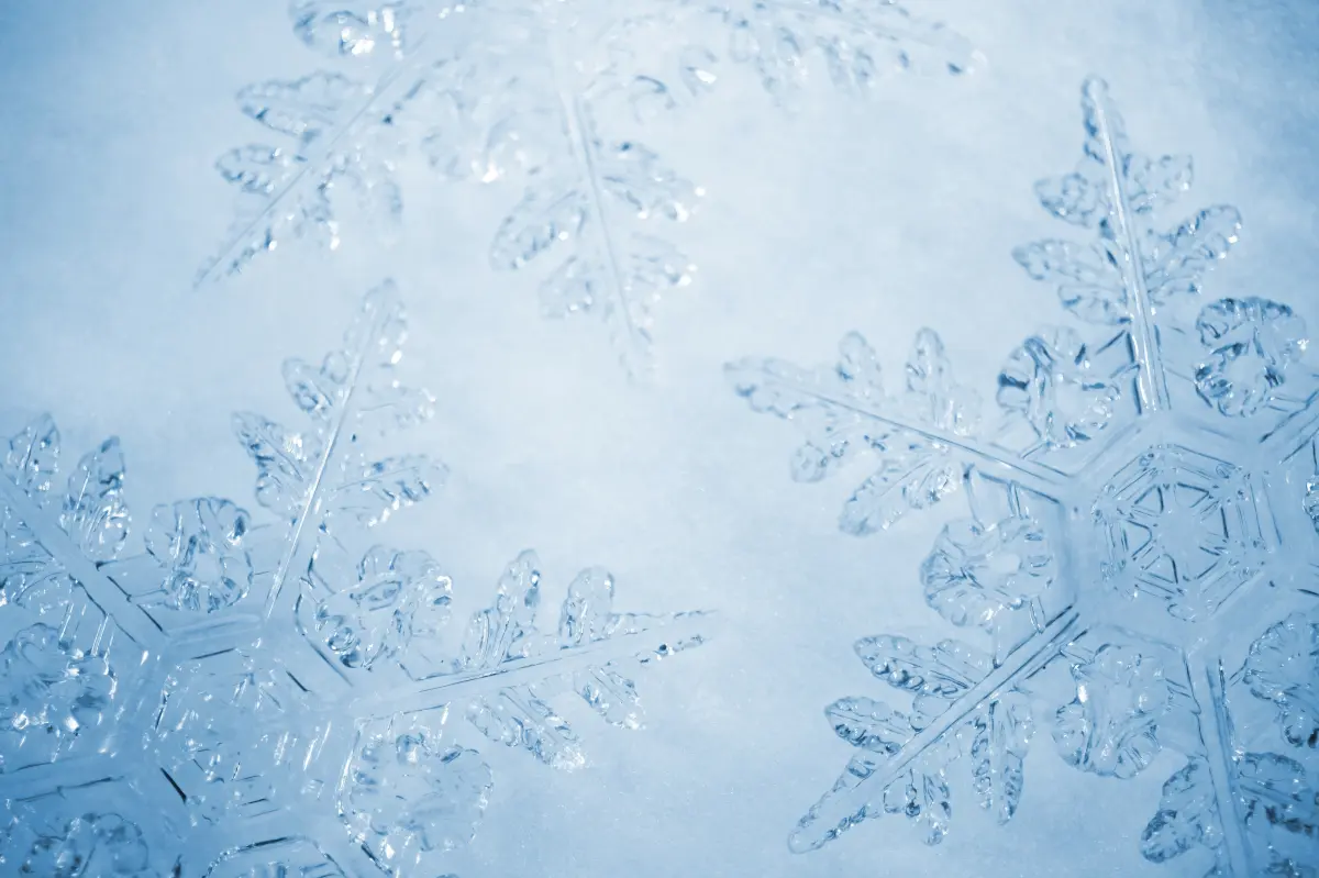 The symptoms of ‘snowflake disease’ — and why it ‘becomes more severe over time’