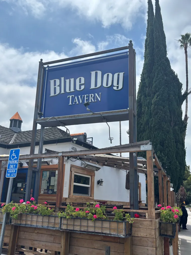 A blue sign for "Blue Dog Tavern" in front of a building with a patio, surrounded by tall trees and flower boxes.