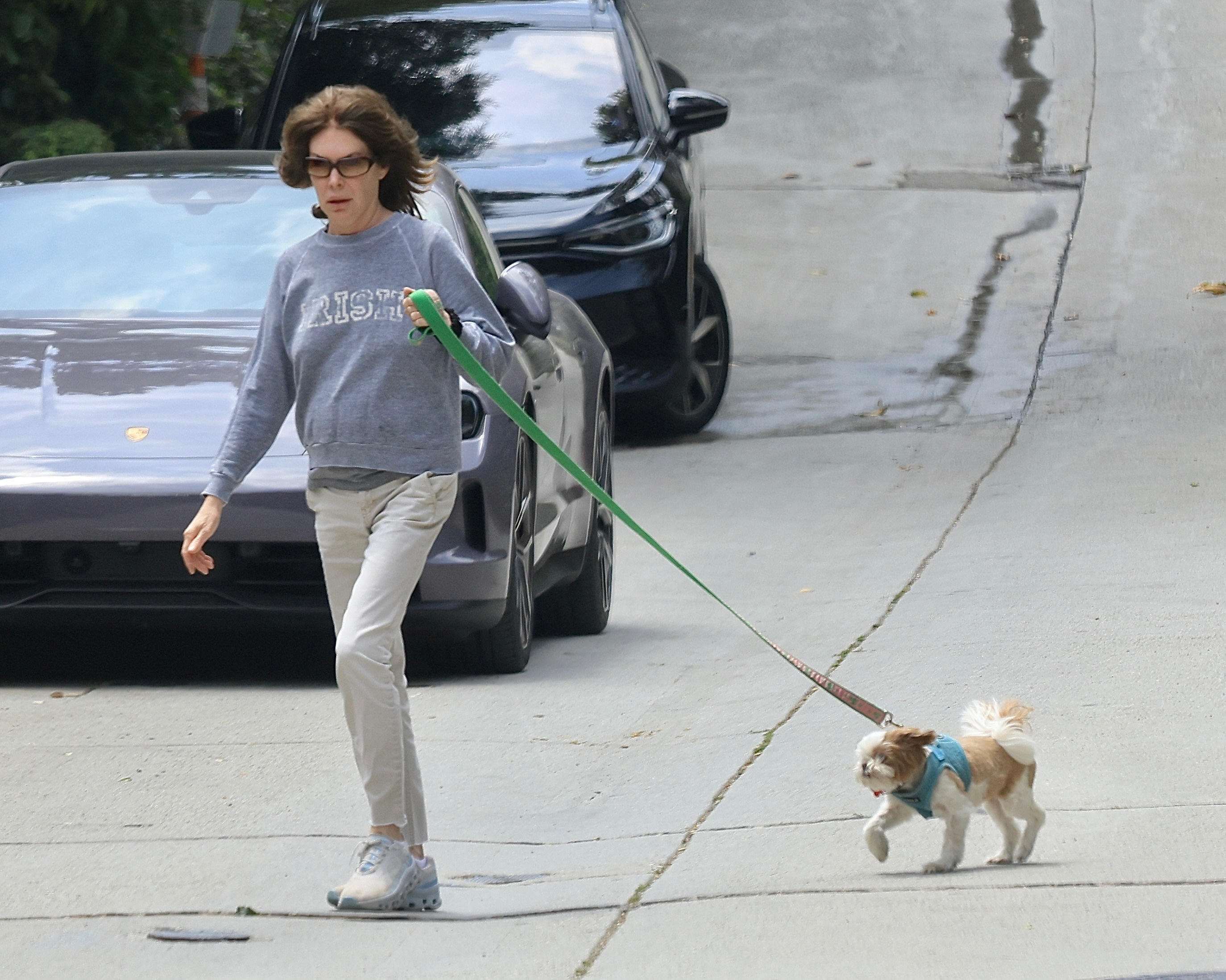 Lara Flynn Boyle walking her dog in Los Angeles.