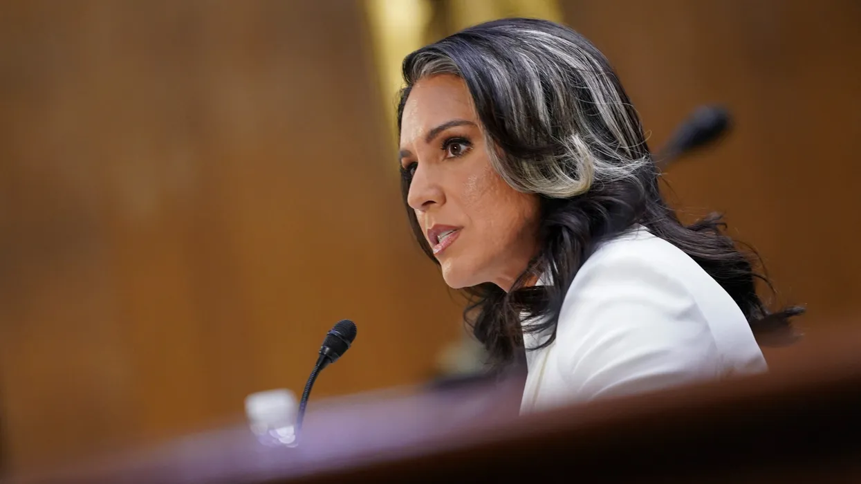 Massive ‘sighs of relief’ as Tulsi Gabbard hits the exits: ex-CIA official