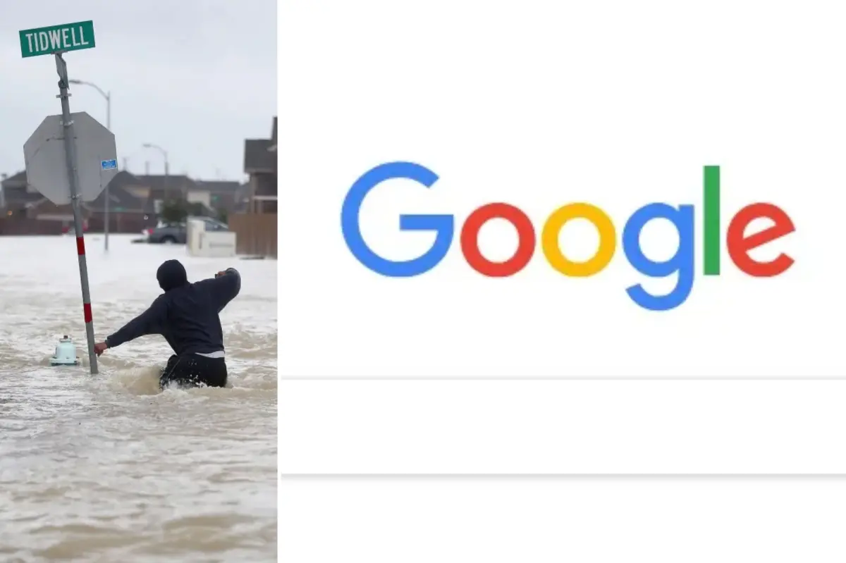 Google searches in times of world crises offer incredible insights into our humanity