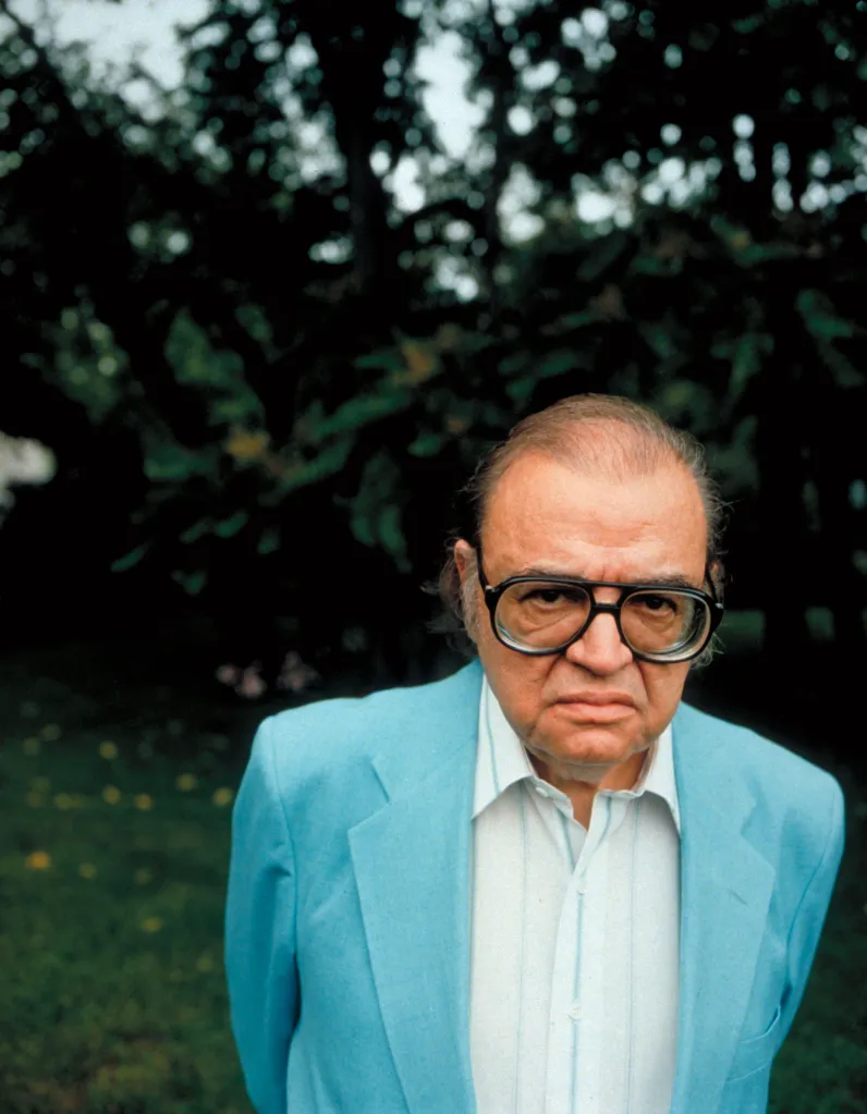 Novelist Mario Puzo looking intently at the camera, wearing glasses and a light blue jacket over a white shirt.