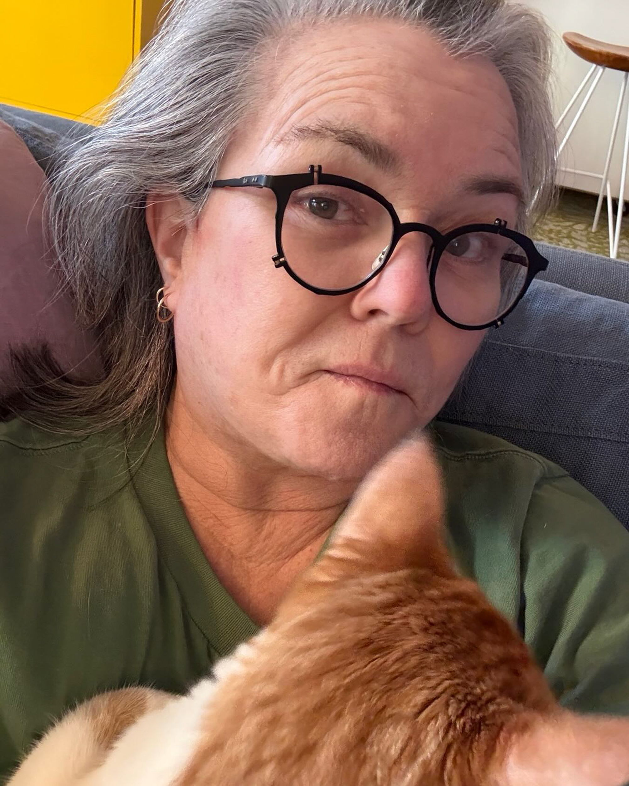 Rosie O'Donnell in glasses and a green shirt, holding her orange cat.