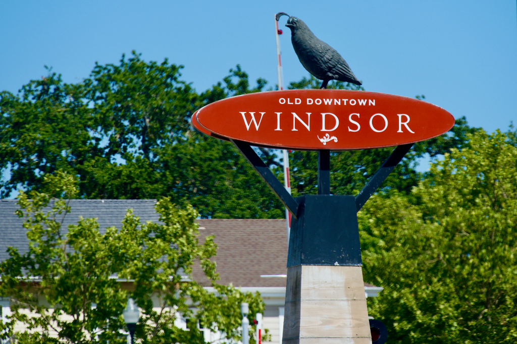 Sign for "Old Downtown Windsor" with a California Quail sculpture on top.