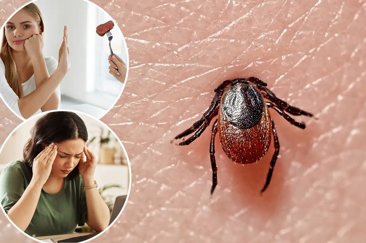 Meat allergies, confusion, vomiting — 5 diseases you can get from ticks as ER visits spike