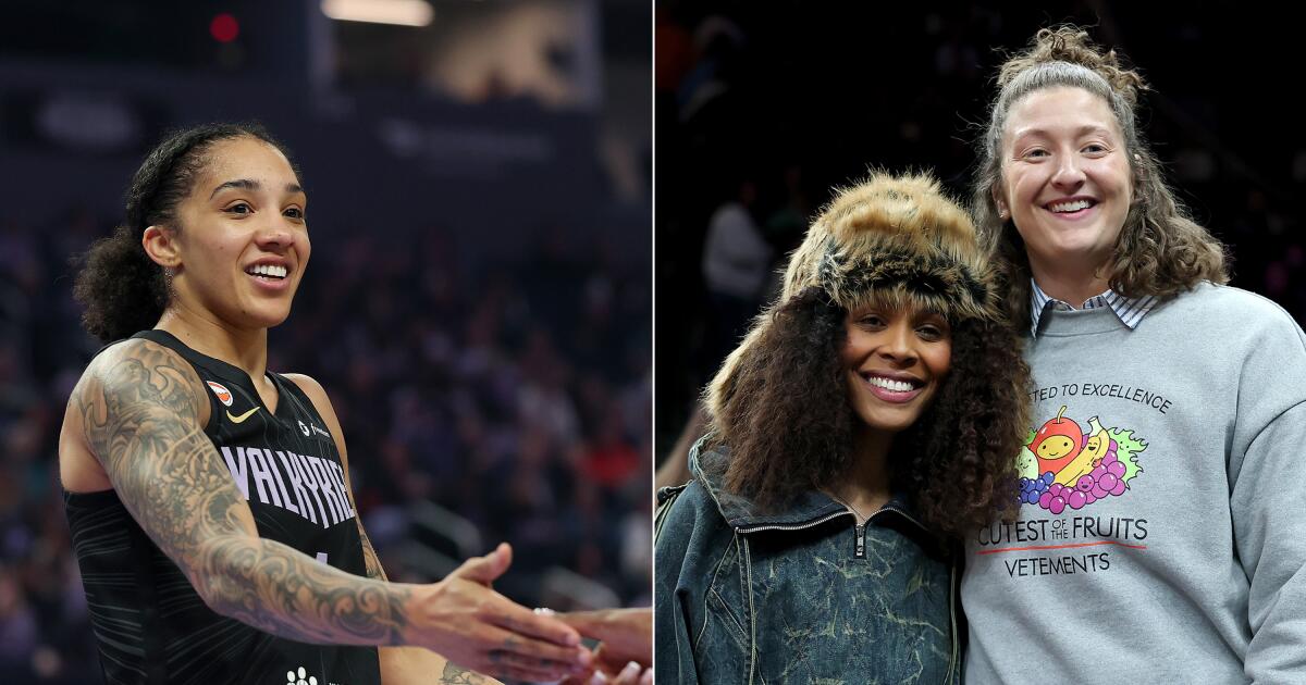 What heated rivalry? A queer women’s basketball rom-com with actual WNBA players is in the works