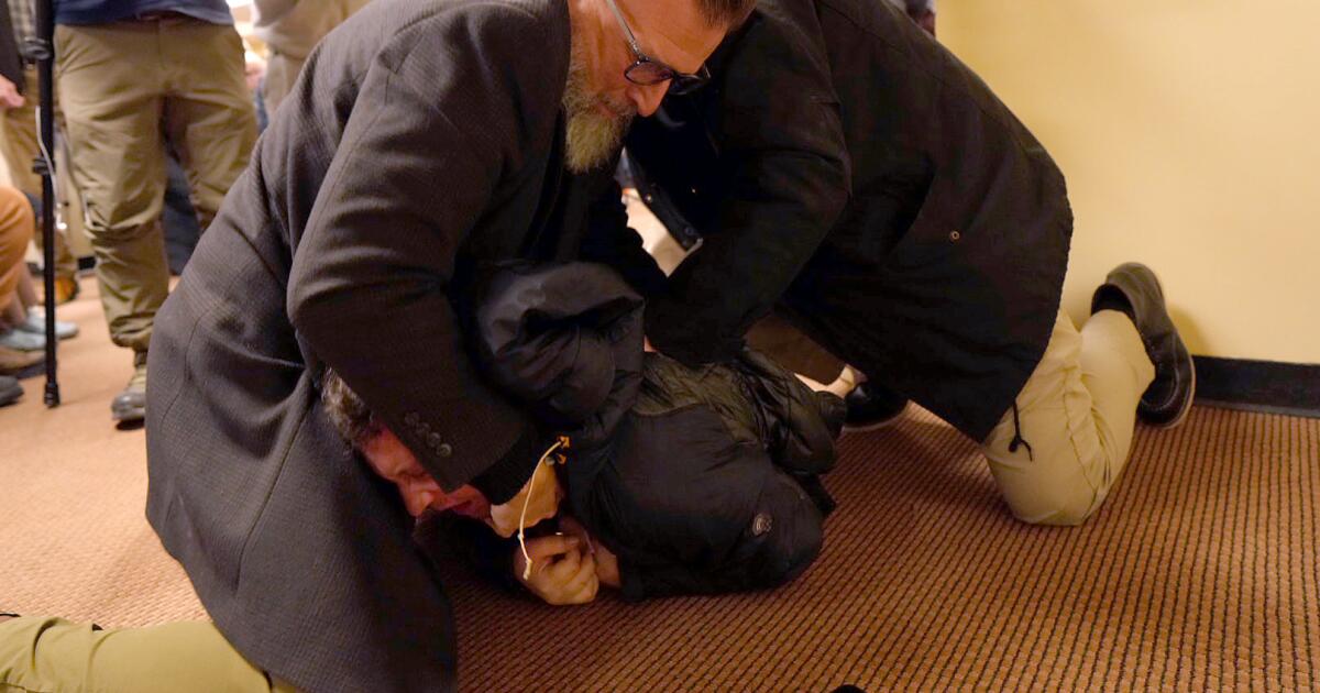 Man who sprayed vinegar at Rep. Ilhan Omar during town hall pleads guilty to assault