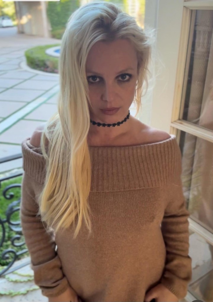 Britney Spears posing in a brown off-the-shoulder top and a black choker.