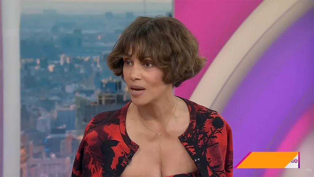 Halle Berry speaking on the Today show.
