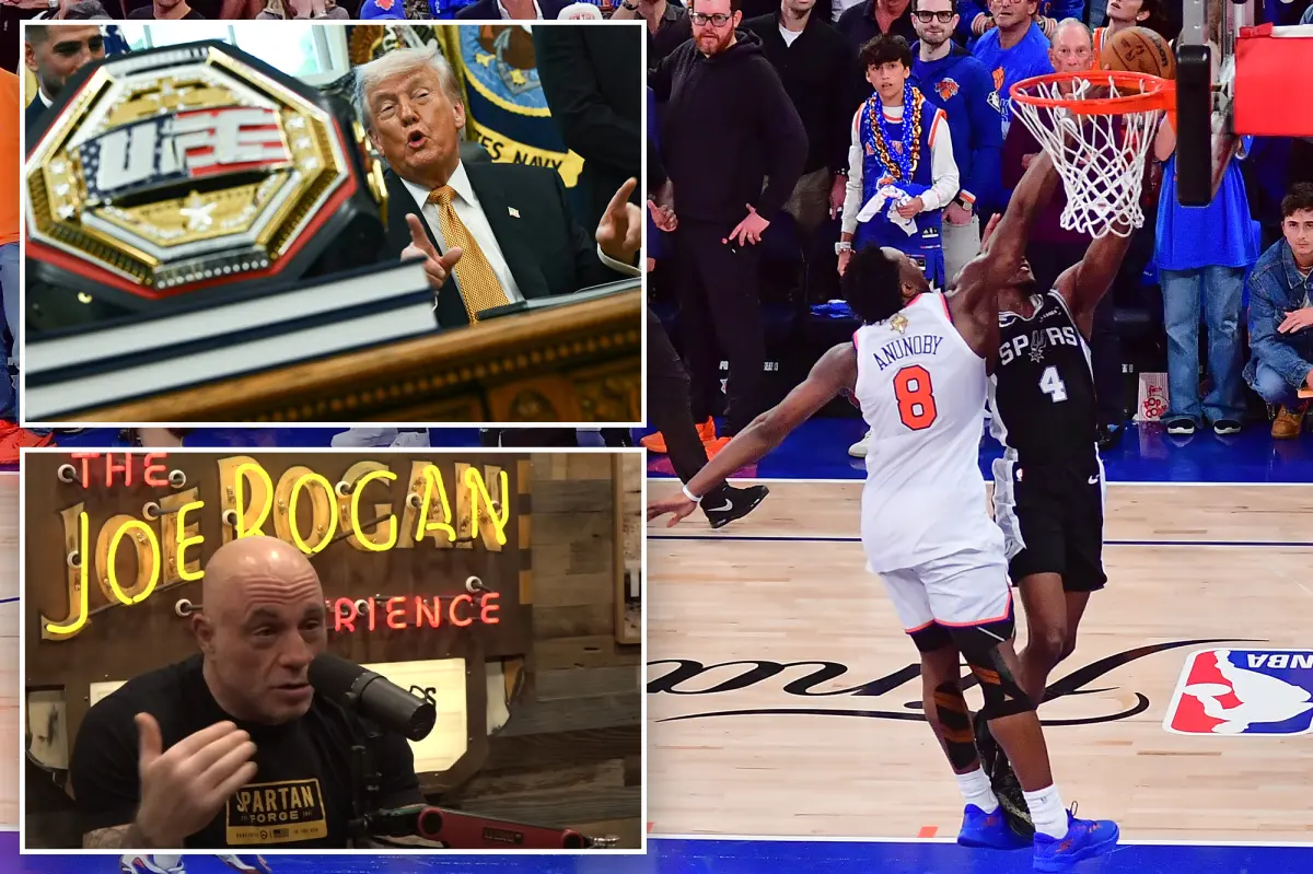 Joe Rogan urges Trump to ‘stick to the UFC’ after Knicks game: ‘Gonna boo him everywhere else’