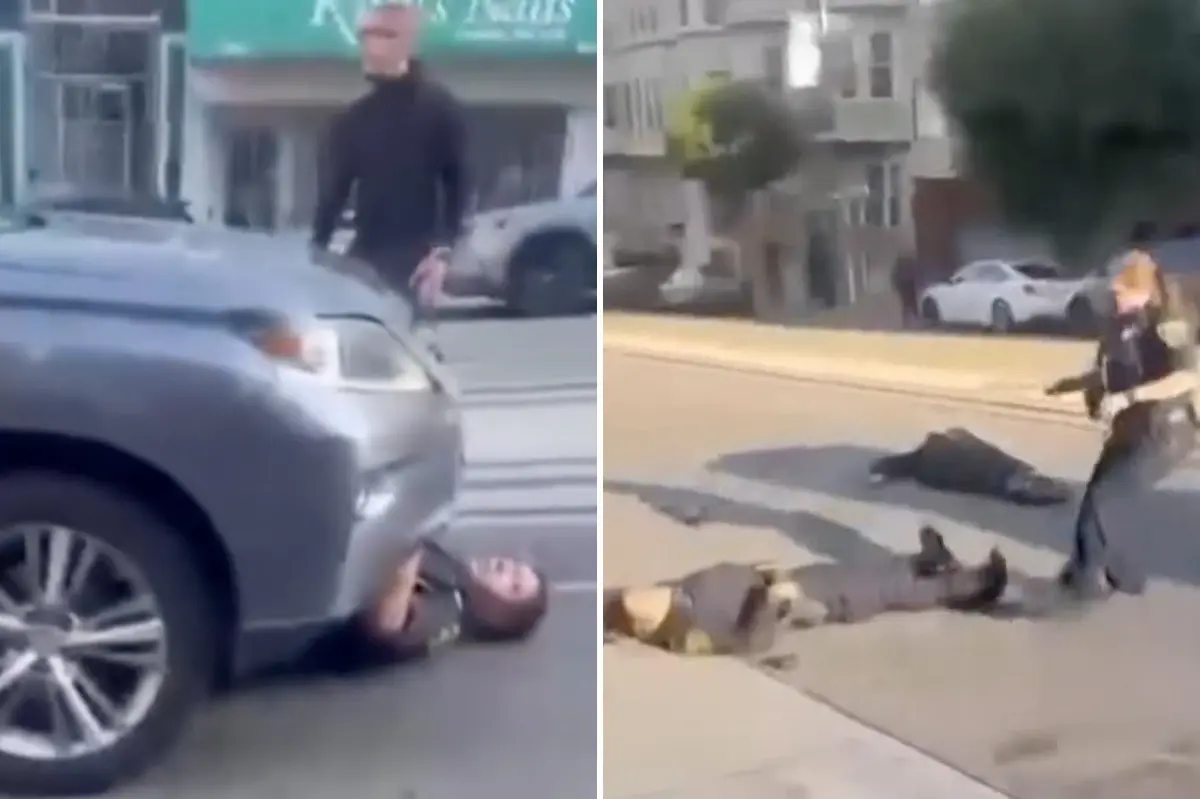 Trader Joe’s shoplifter in San Francisco killed by speeding car after wild police chase