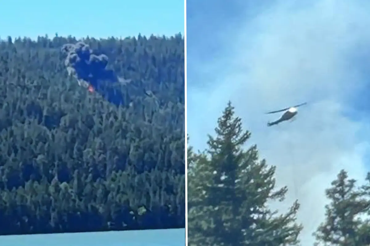 Terrifying moment California fighter jet ‘pops’ then crashes near Mt Rainier sparking wildfire