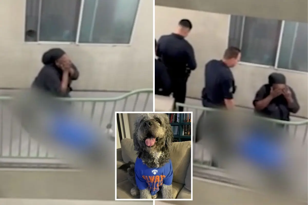 Knicks’ watch party horror as family dog is shot by cops – as harrowing video emerges