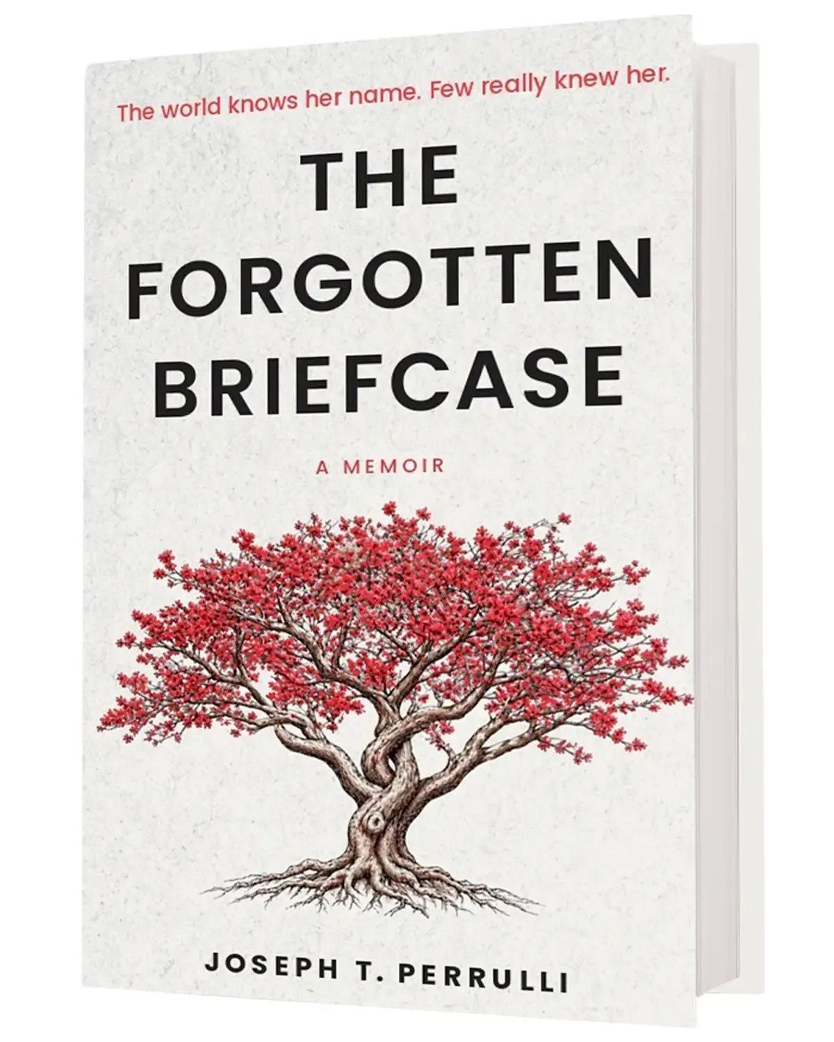 Joseph Perrulli's book