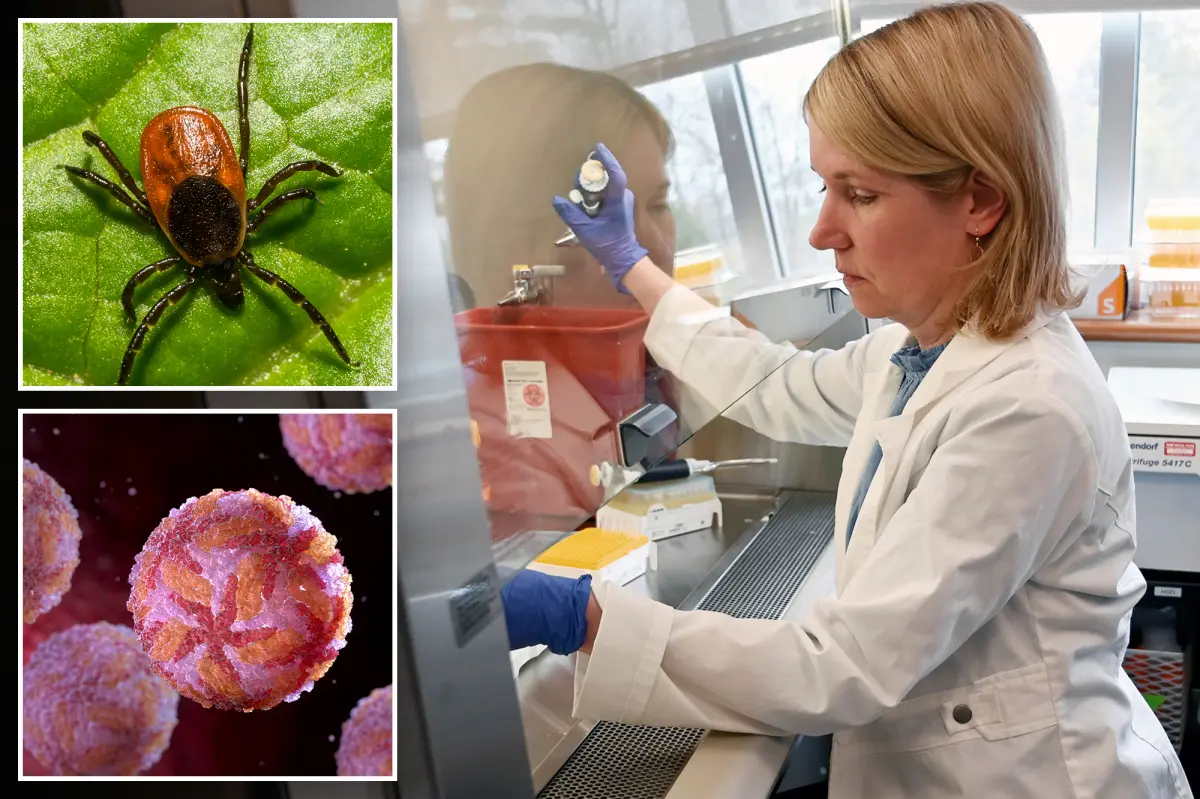 Rare tick-borne virus turns deadly fast as US cases reach record high, experts warn