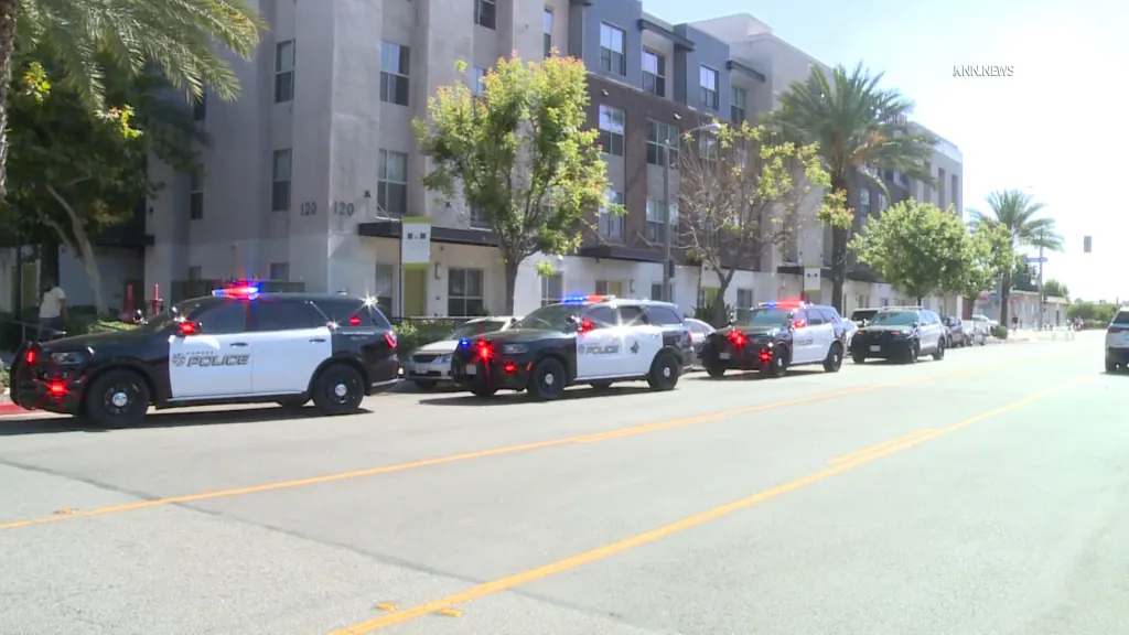 Several police cars with flashing lights lined up on a street in front of an apartment complex after a reported shooting.