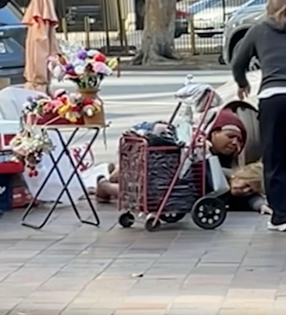 People brawling in the street near a flower vendor's stall.