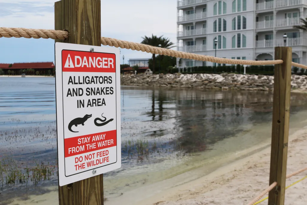 A white sign with "DANGER ALLIGATORS AND SNAKES IN AREA" and "STAY AWAY FROM THE WATER DO NOT FEED THE WILDLIFE" in red and black text, next to a body of water.