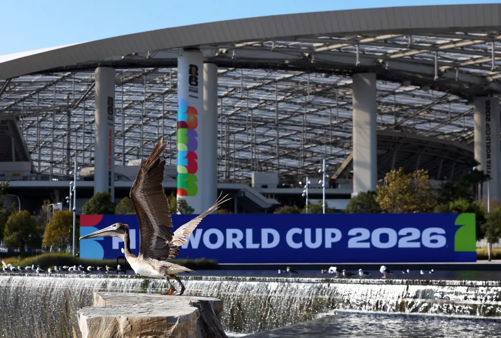 A bird near a water feature outside the Los Angeles Stadium with a "FIFA World Cup 2026" sign in the background.