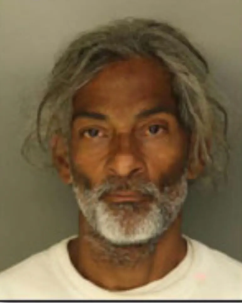Mugshot of a man with long gray hair and a gray beard.