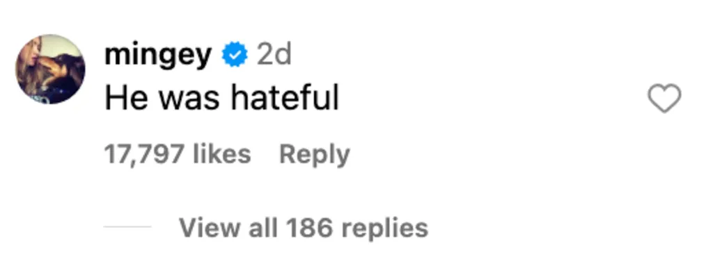 Screenshot of an Instagram comment by user 'mingey' saying