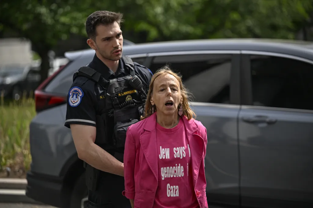 American Jewish activist Medea Benjamin, wearing a pink shirt with "Jew says end genocide in Gaza" written on it, being detained by a police officer.