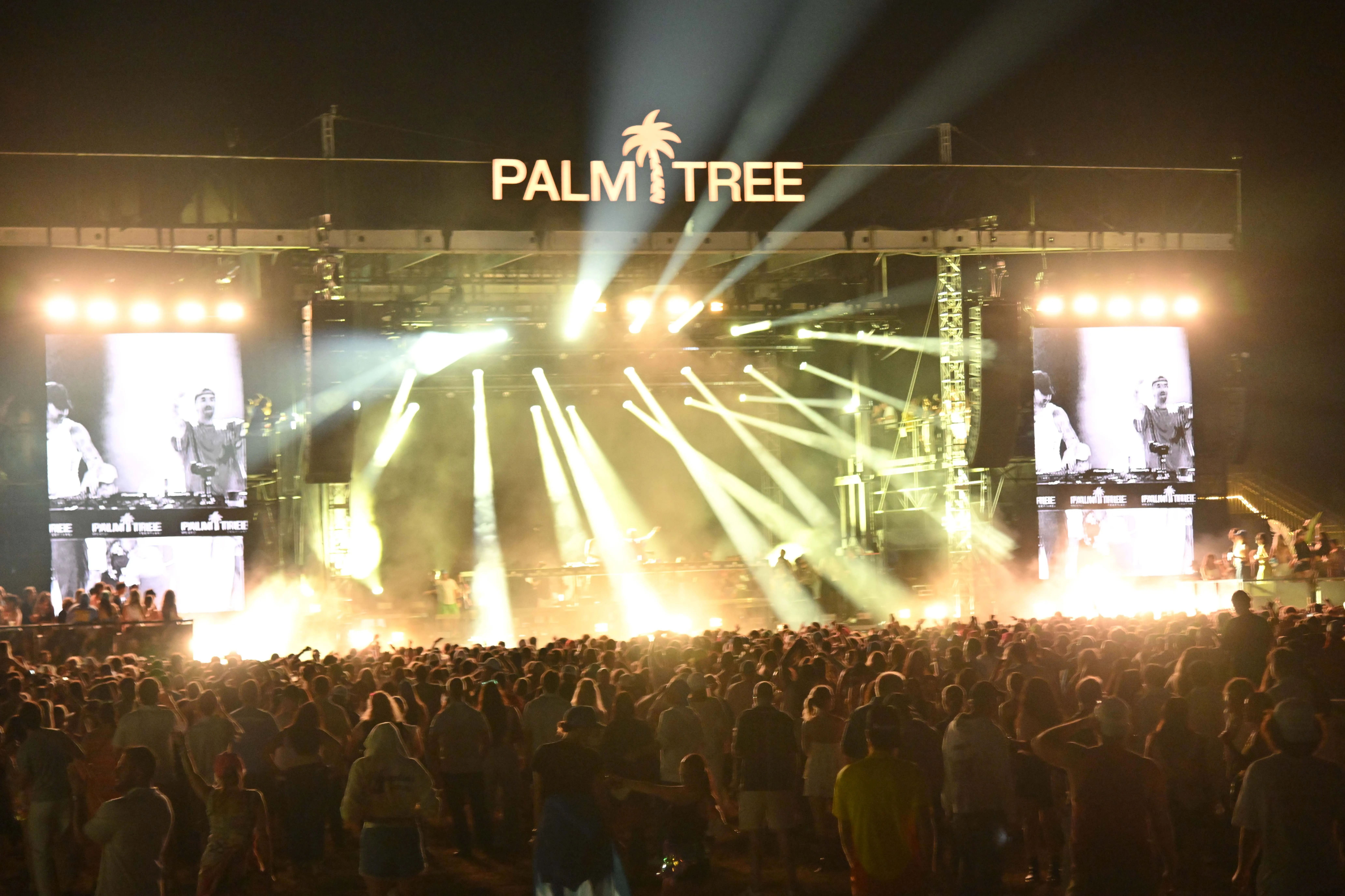 Palm Tree