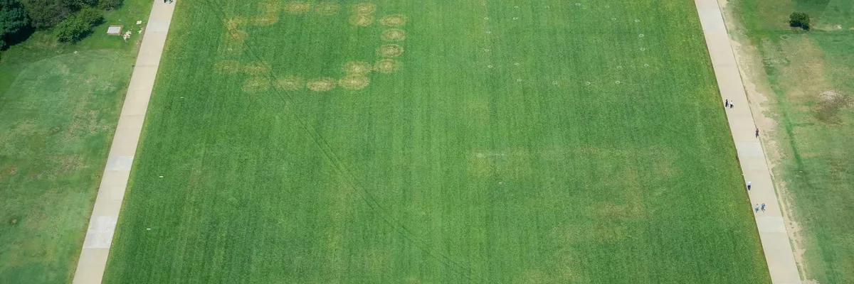 White House blames ‘assassination culture’ after ’86 47′ etched into National Mall