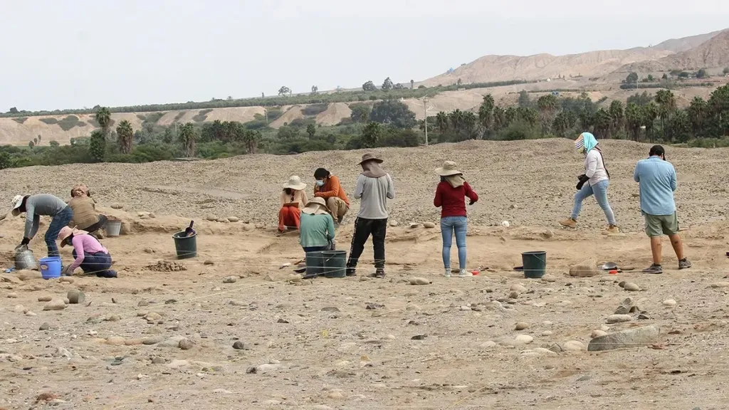 Archaeologists excavating a desert site, with hills and greenery in the background.