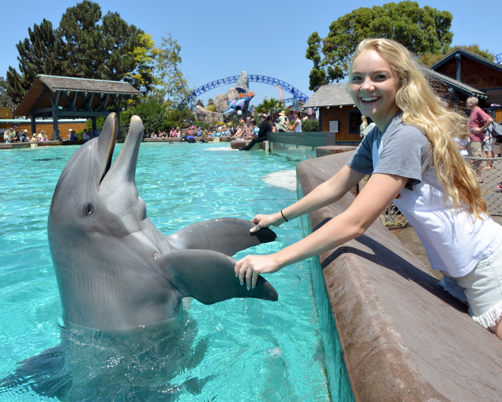 Danielle Bradbery, winner of "The Voice" Season 4, meeting a bottlenose dolphin named Dottie at SeaWorld San Diego.
