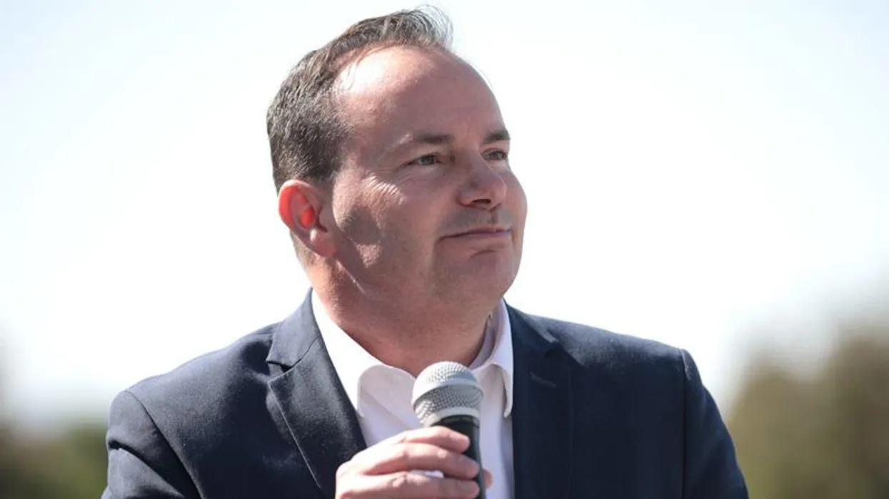GOP luncheon turns nasty as Republican senators ‘pile on’ Mike Lee over voter ID: report
