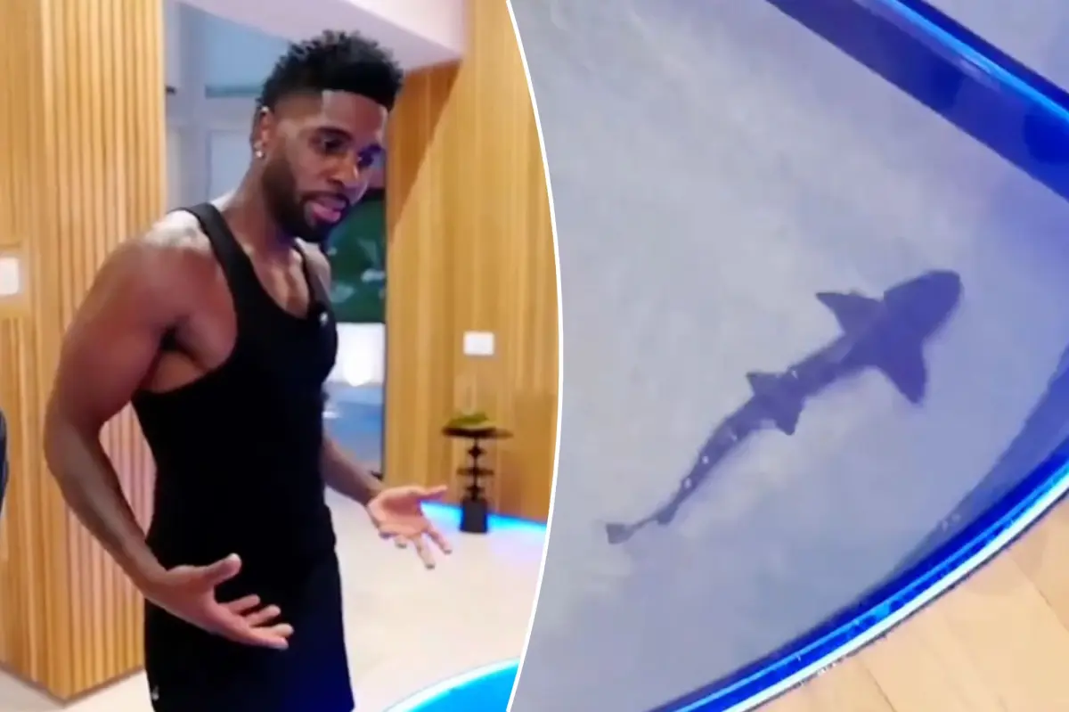 Jason Derulo faces backlash over $1M shark tank inside his California home