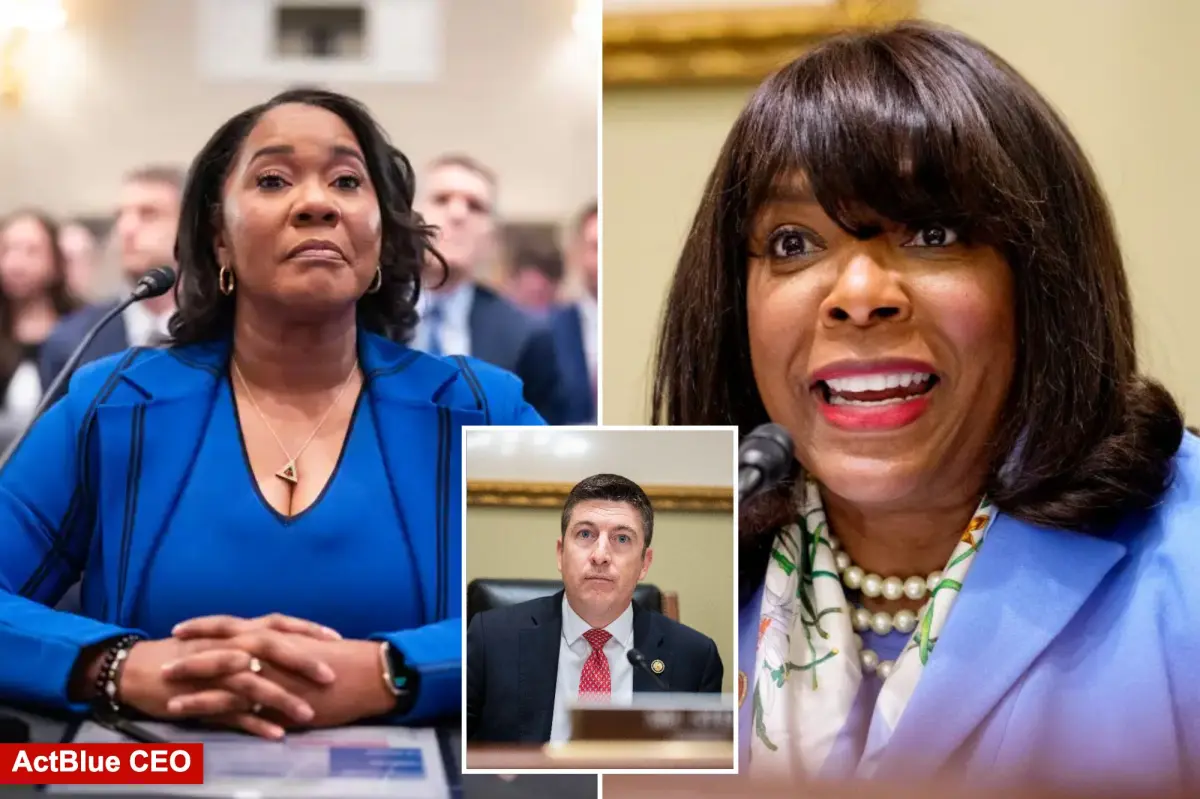 House Dem lashes out at GOP efforts to probe foreign donations with stunning claim on motive