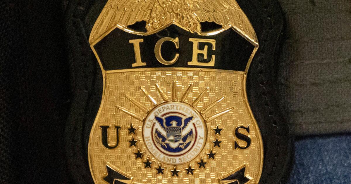 Santa Monica man pleads guilty to ‘doxing’ ICE official