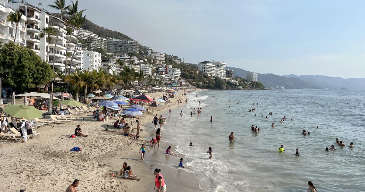 California couple recount witnessing fatal crocodile attack during Mexican vacation
