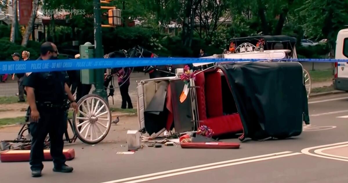 Horse-drawn carriage rides in New York on hold after teen tourist’s death
