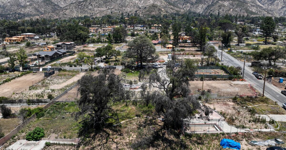Overgrown lots in Altadena, Palisades pose fire risk. L.A. County is pushing to clear them