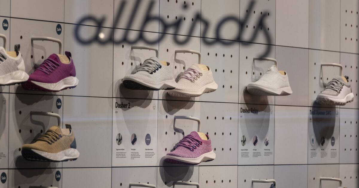 Allbirds stock takes flight after announcing new CEO and name change