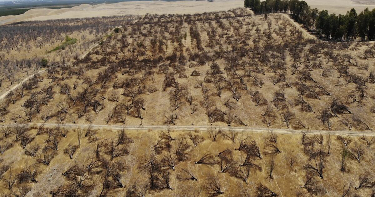 Recent assessment of California’s water misallocation is the first step toward justice